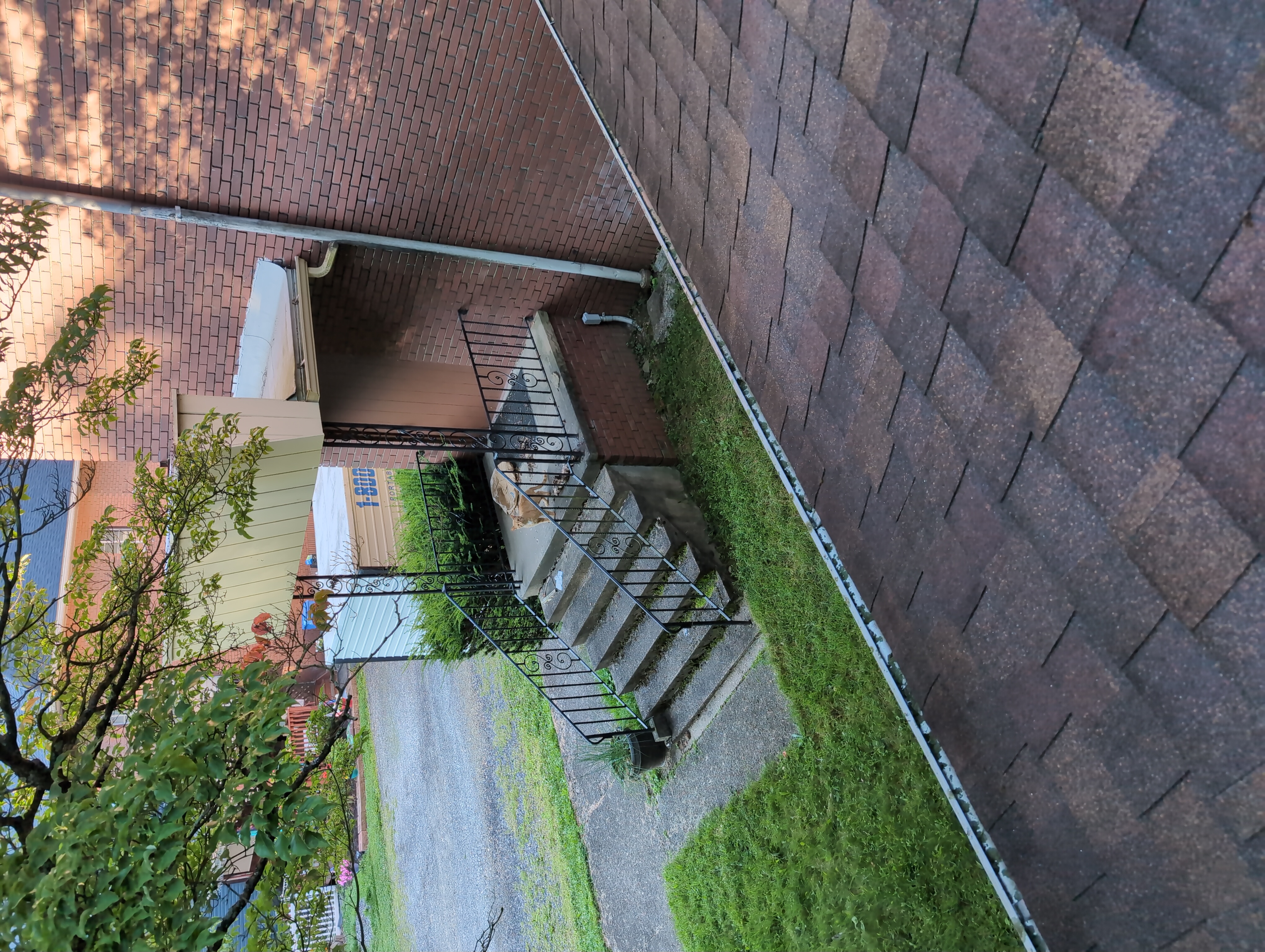 A view of the small concrete back porch of #thisOldClownHouse (an old brick building) from the roof of the back building. One side of the yellow wood paneling described is visible, and a tree branch obscures the fact that it has a metal top. The white coated bitumen coating the inside of the box structure can be seen partially and the gutter is clearly visible. The shingles of the back building's roof are visible at the bottom of the photo, an orange cat is staring up at the viewer from where they are standing on the porch. The alley and some of the backyard are visible 