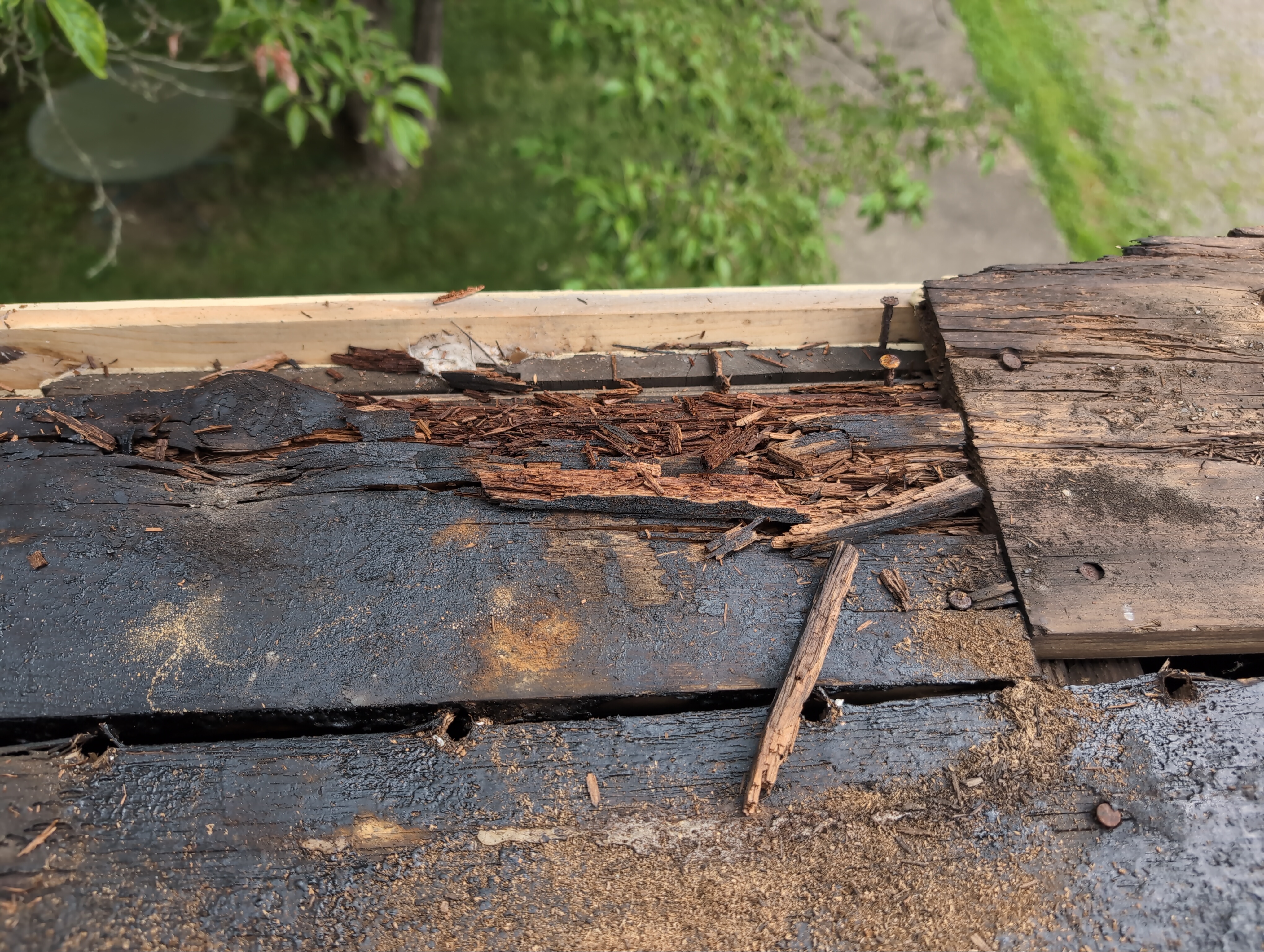 A slightly closer up view of the same stretch of wood, after brushing it brifely with my thumb. Much of it is now a pile of splinters.